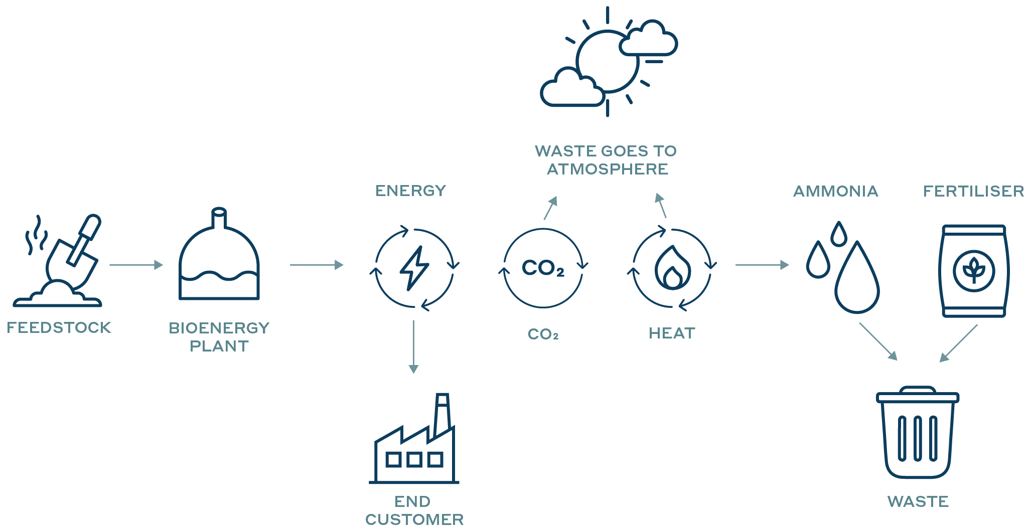 Linear bioenergy model diagram