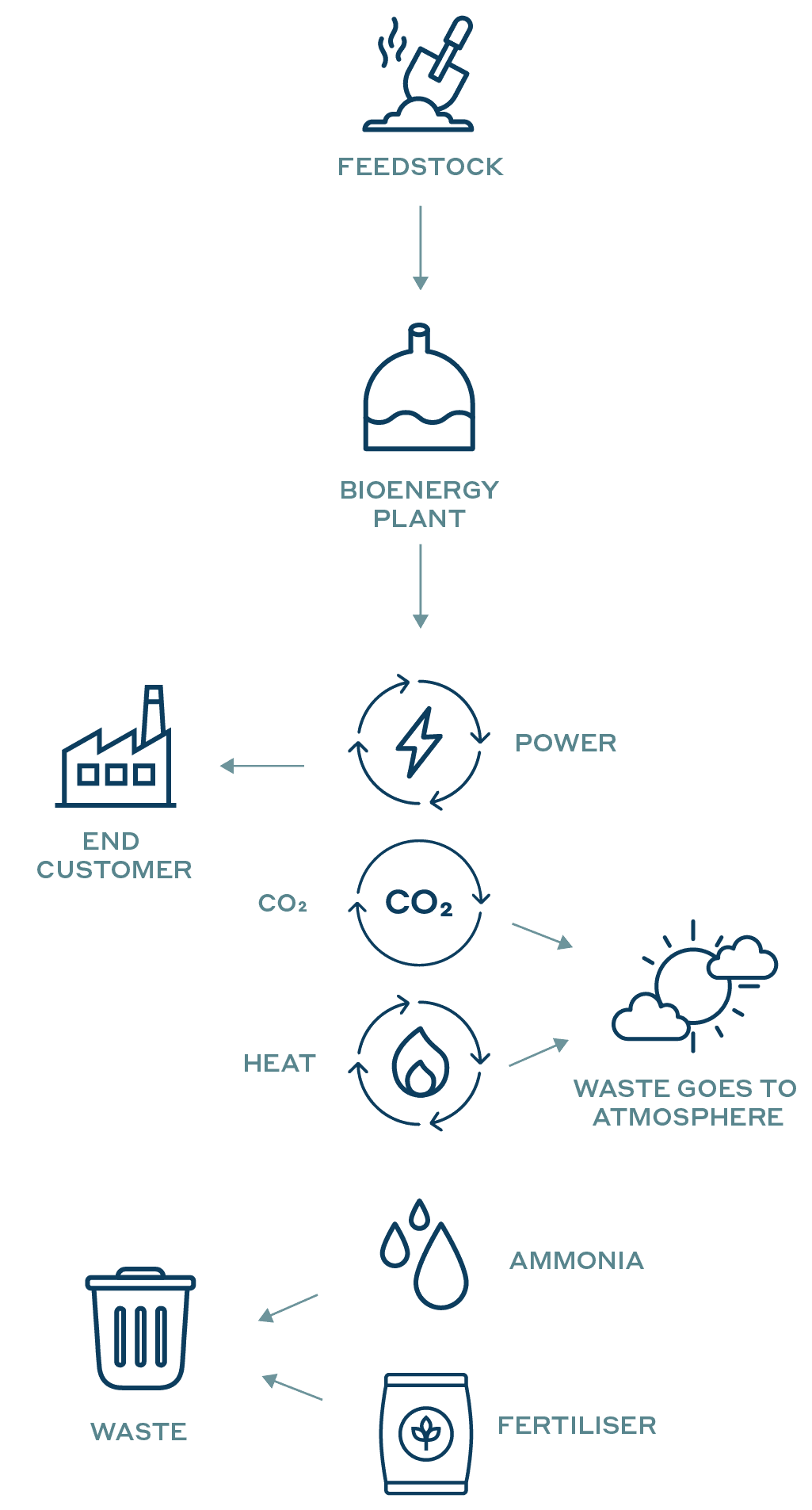 Linear bioenergy model diagram