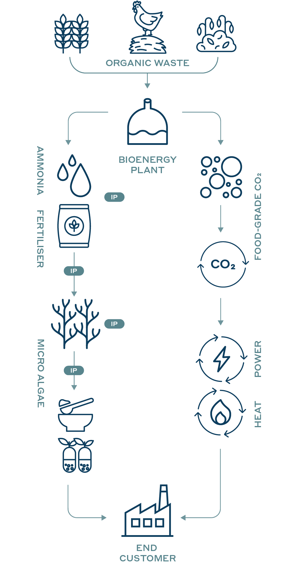 Circular biorefinery model diagram