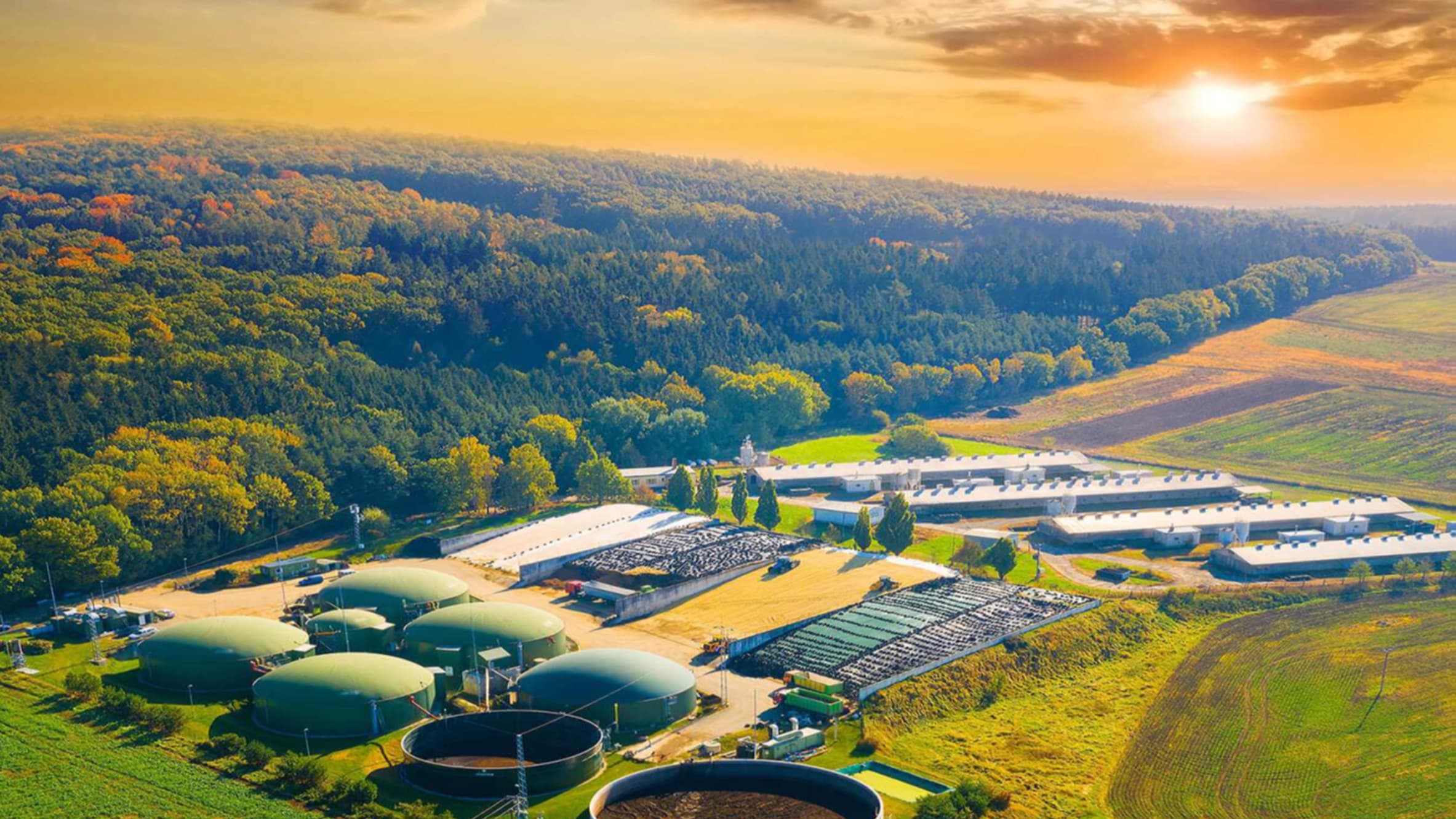 An artist impression of C-Loop's patented biorefinery